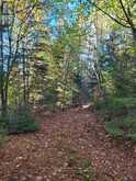 PT LT 33 CON 5 HUMMEL LINE | Powassan Ontario | Slide Image Nineteen