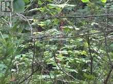 PCL BLOCK C-1 TOMIKO ROAD | West Nipissing Ontario | Slide Image Nine