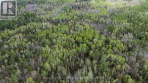 LOT 16 PART 2, SUZANNES ROAD | Mattawan Ontario | Slide Image Three