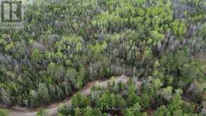 LOT 16 PART 2, SUZANNES ROAD | Mattawan Ontario | Slide Image Five