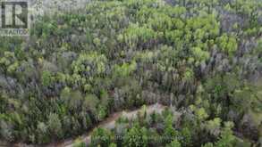 LOT 16 PART 2, SUZANNES ROAD | Mattawan Ontario | Slide Image Six