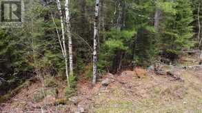 LOT 16 PART 2, SUZANNES ROAD | Mattawan Ontario | Slide Image Seven