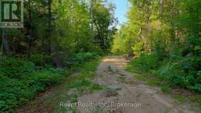 PCL 13895 SEC NIP; LT 5 HIGHWAY 17 E | Mattawan Ontario | Slide Image Ten