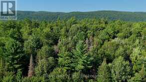 PCL 13895 SEC NIP; LT 5 HIGHWAY 17 E | Mattawan Ontario | Slide Image Eleven
