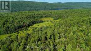 PCL 13895 SEC NIP; LT 5 HIGHWAY 17 E | Mattawan Ontario | Slide Image Twelve