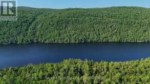 PCL 13895 SEC NIP; LT 5 HIGHWAY 17 E | Mattawan Ontario | Slide Image Sixteen