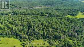 PCL 13895 SEC NIP; LT 5 HIGHWAY 17 E | Mattawan Ontario | Slide Image Twenty
