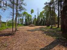 356 HUNT LINE | Powassan Ontario | Slide Image Seventeen