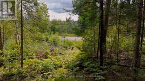 2275 WIDDIFIELD STATION ROAD | North Bay Ontario | Slide Image Seven