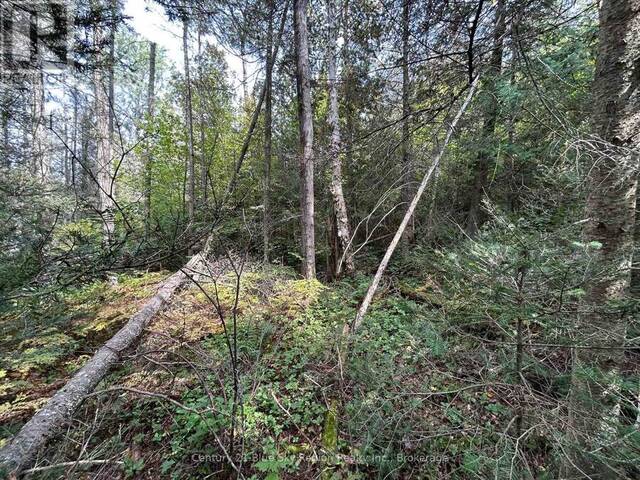 PCL 28216 HIGHWAY 531 North Bay Ontario, P0H 1E0 - Vacant Land For Sale