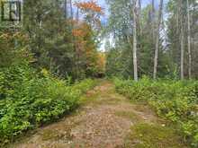 135 SIMPSON HILL ROAD | Nipissing Ontario | Slide Image Six