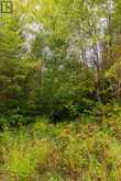 487 GOLF COURSE ROAD | Powassan Ontario | Slide Image Eight