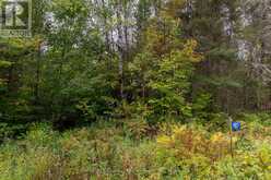 487 GOLF COURSE ROAD | Powassan Ontario | Slide Image Nine