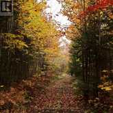 1383 RABBIT TRAIL ROAD | Markstay-Warren Ontario | Slide Image Forty-three