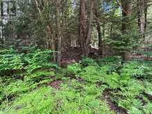 LOT 2 LATIMER LANE | Calvin Ontario | Slide Image Four