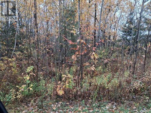 0 BEAR CREEK ROAD North Bay Ontario, P0H 1H0 - Waterfront Land For Sale