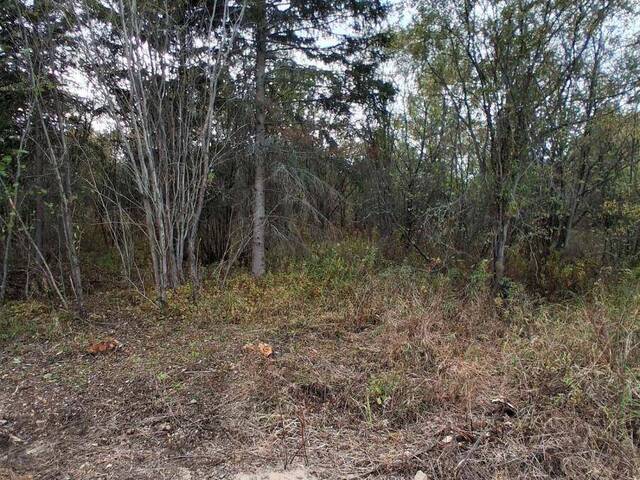 0 TILLICUM ROAD North Bay Ontario, P0H 1H0 - Vacant Land For Sale