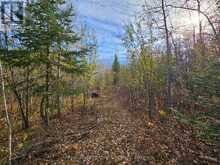 472 ALBERT STREET | Temiskaming Shores Ontario | Slide Image Thirteen
