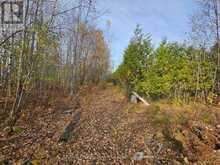 472 ALBERT STREET | Temiskaming Shores Ontario | Slide Image Fifteen