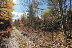 Lot 18 Nokomis Beach RD | Sault Ste. Marie Ontario | Slide Image Five