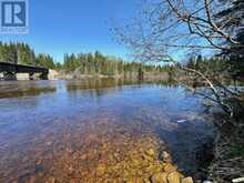NEB002 Michipicoten River | Wawa Ontario | Slide Image Sixteen