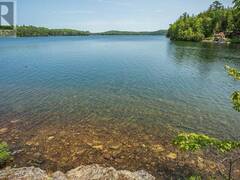 372 Blueberry Point RD|MacDonald, Meredith, Aberdeen Additional Township Echo Bay Ontario, P0S 1C0