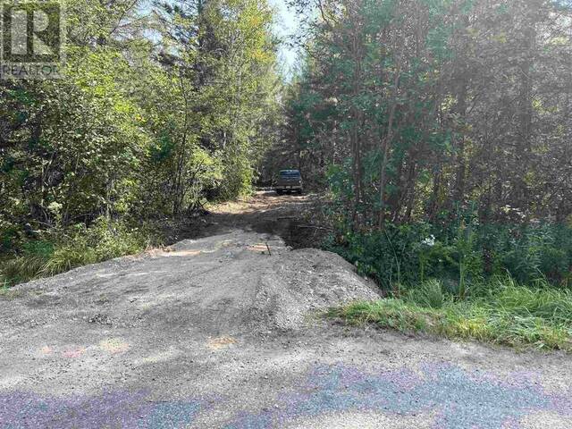 256 Town Line RD Sault Ste. Marie Ontario, P6A 5K6 - Vacant Land For Sale