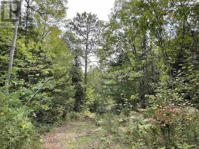 10263 PCL Highway 17 The North Shore Ontario, P0R 1K0 - Vacant Land For Sale