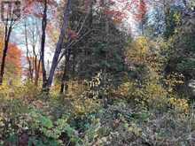 34 Lighthouse Point (Lot 28) | Thessalon Ontario | Slide Image Nineteen