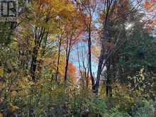 34 Lighthouse Point (Lot 28) | Thessalon Ontario | Slide Image Twenty