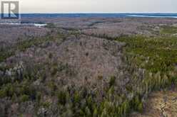 P Line RD|Hilton Township | St. Joseph Island Ontario | Slide Image Twenty