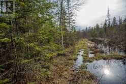 P Line RD|Hilton Township | St. Joseph Island Ontario | Slide Image Twenty-eight