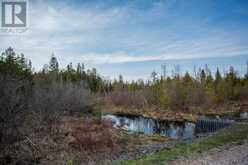 P Line RD|Hilton Township | St. Joseph Island Ontario | Slide Image Thirty-six