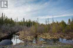 P Line RD|Hilton Township | St. Joseph Island Ontario | Slide Image Thirty-seven