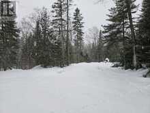 Part of Lot 10 Concession 6 | North Algoma Ontario | Slide Image Two