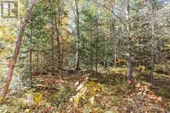 Lot 17 Nokomis Beach RD | Sault Ste. Marie Ontario | Slide Image One