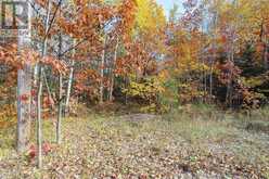 Lot 17 Nokomis Beach RD | Sault Ste. Marie Ontario | Slide Image Seven