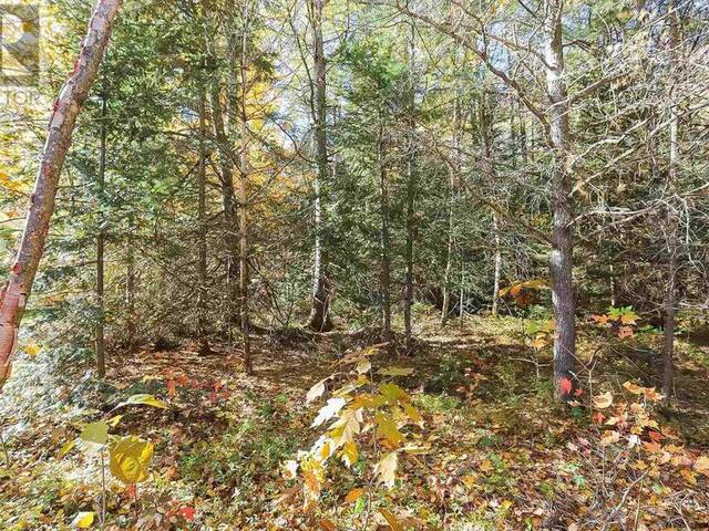 Lot 17 Nokomis Beach RD Sault Ste. Marie Ontario, P6A 5K6 - Vacant Land For Sale