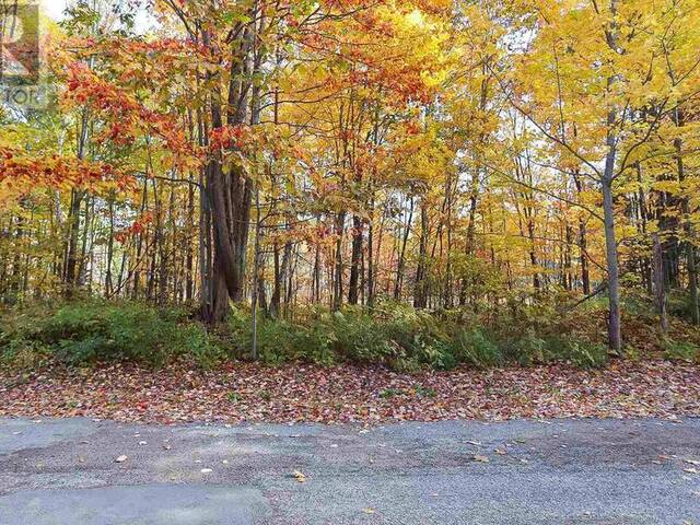 Lot 19 Nokomis Beach RD Sault Ste. Marie Ontario, P6A 5K6