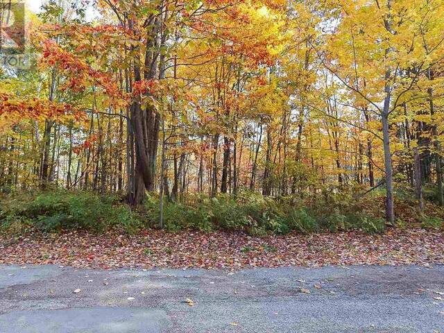 Lot 19 Nokomis Beach RD Sault Ste. Marie Ontario, P6A 5K6 - Vacant Land For Sale