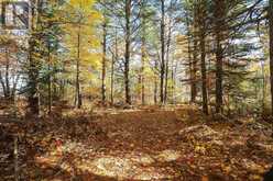 Lot 20 Nokomis Beach RD | Sault Ste. Marie Ontario | Slide Image Ten