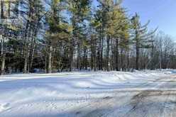 Lot 20 Nokomis Beach RD | Sault Ste. Marie Ontario | Slide Image Fifteen