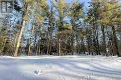 Lot 20 Nokomis Beach RD | Sault Ste. Marie Ontario | Slide Image Sixteen