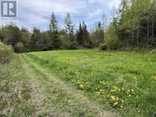 497 acres Chiblow Lake Rd|and Brady Road | Huron Shores Ontario | Slide Image Twenty-five