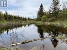 497 acres Chiblow Lake Rd|and Brady Road | Huron Shores Ontario | Slide Image Twenty-seven