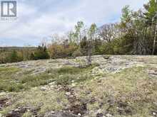 497 acres Chiblow Lake Rd|and Brady Road | Huron Shores Ontario | Slide Image Thirty