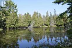 PCL 1150 Cranberry Creek at Lake Duborne | Blind River Ontario | Slide Image Thirteen