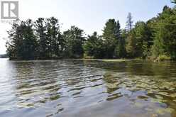 PCL 1150 Cranberry Creek at Lake Duborne | Blind River Ontario | Slide Image Four