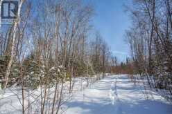 80 Lighthouse Point DR | Thessalon Ontario | Slide Image Twenty-five