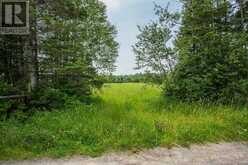 447 McPhail RD|Plummer Township | Bruce Mines Ontario | Slide Image Twenty-four